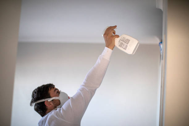 Best Mold Testing and Removal  in Fairfax, CA