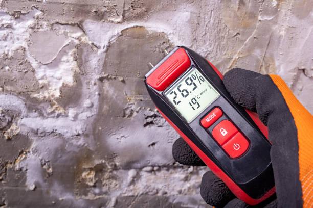 Best Commercial Mold Removal  in Fairfax, CA