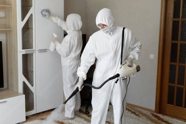 Best Emergency Mold Removal  in Fairfax, CA