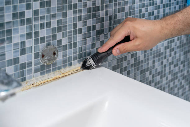Best Certified Mold Removal  in Fairfax, CA